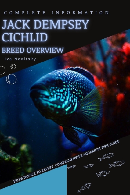 Jack Dempsey Cichlid