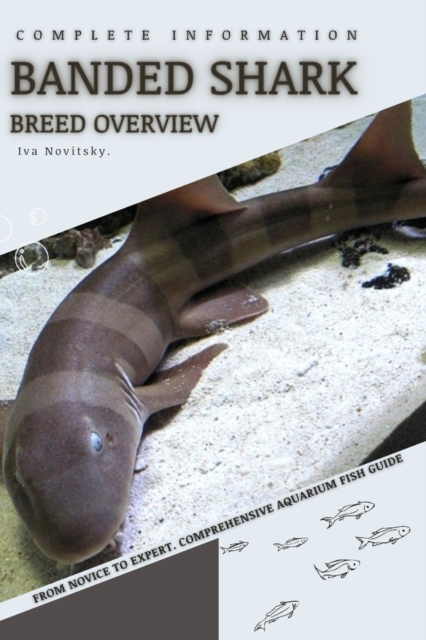 Banded Shark