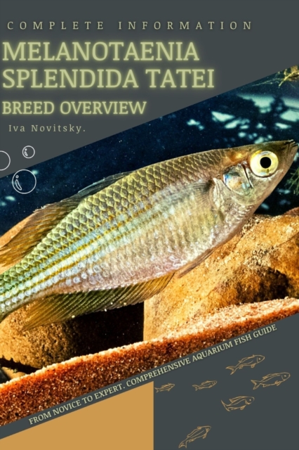 Melanotaenia splendida tatei