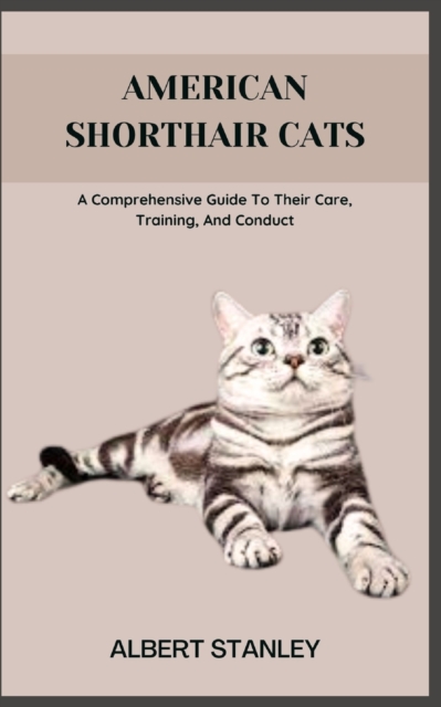 American Shorthair Cats
