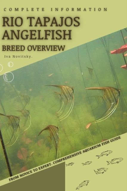 Rio Tapajos Angelfish