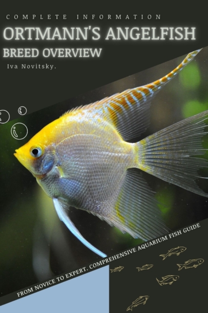 Ortmann's Angelfish