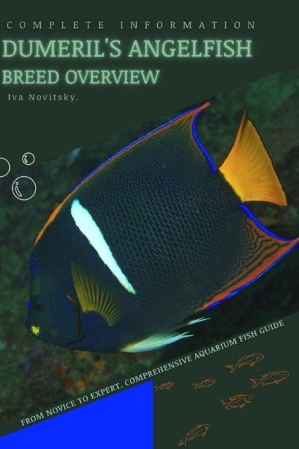 Dumeril's Angelfish