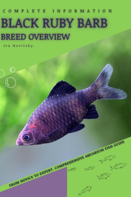 Black Ruby Barb
