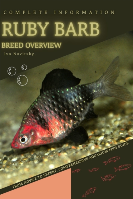 Ruby Barb