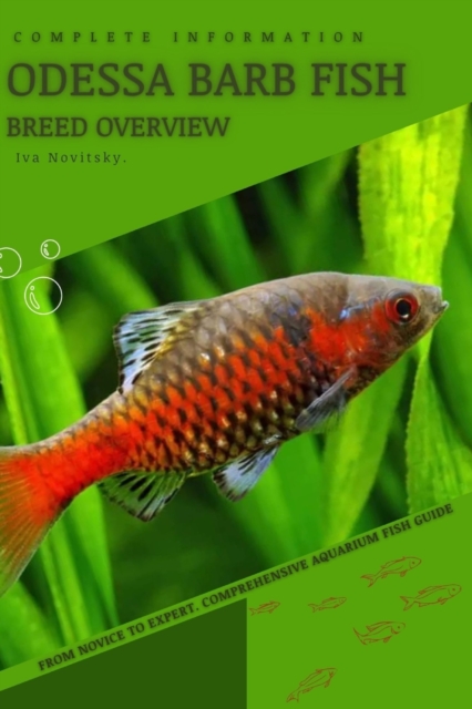 Odessa Barb Fish
