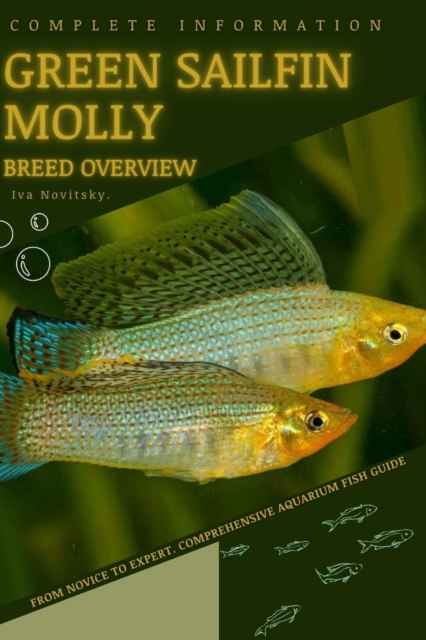 Green Sailfin Molly