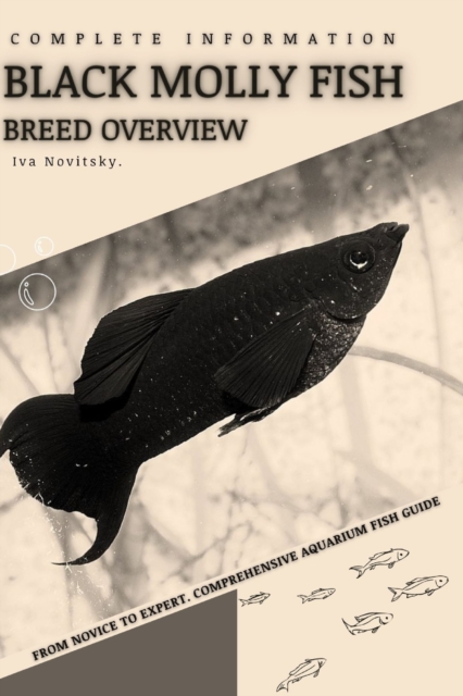 Black Molly Fish