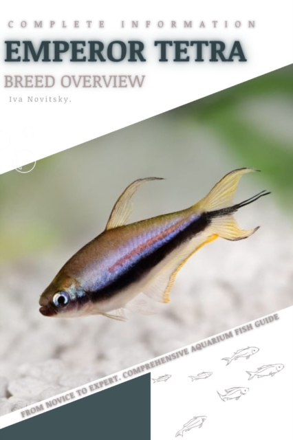 Emperor Tetra