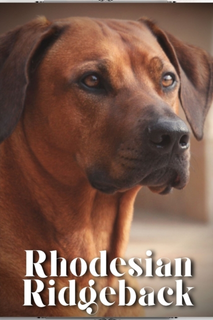Rhodesian Ridgeback