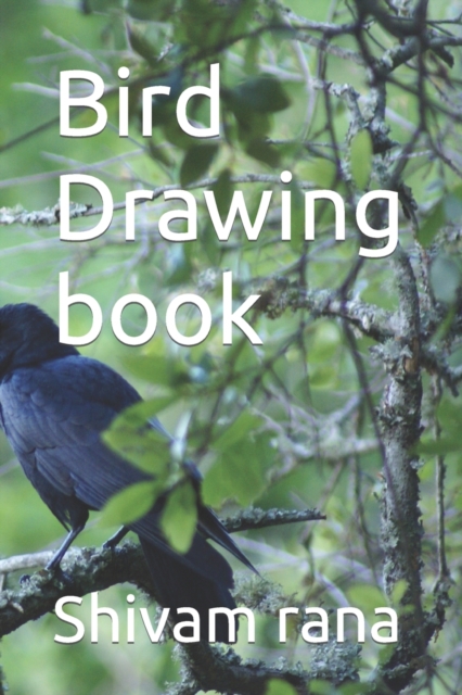 Bird Drawing book