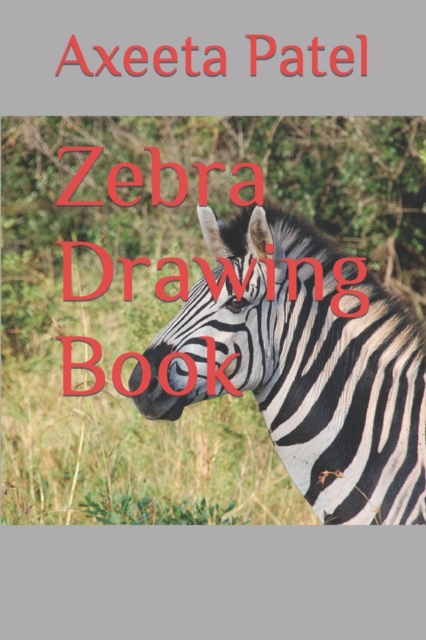 Zebra Drawing Book