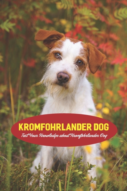 Kromfohrlander Dog