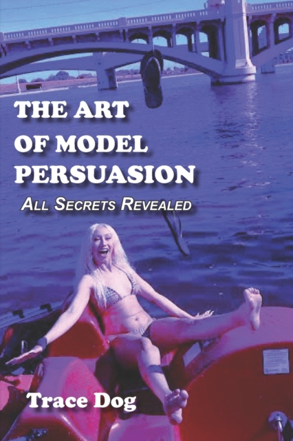 The Art of Model Persuasion