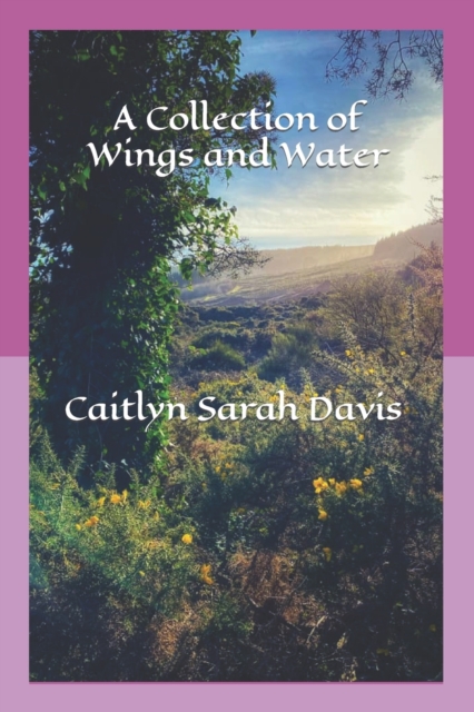 A Collection of Wings and Water