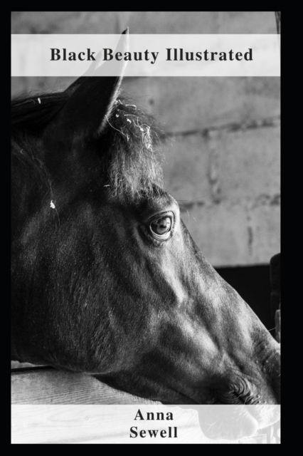 Black Beauty Illustrated