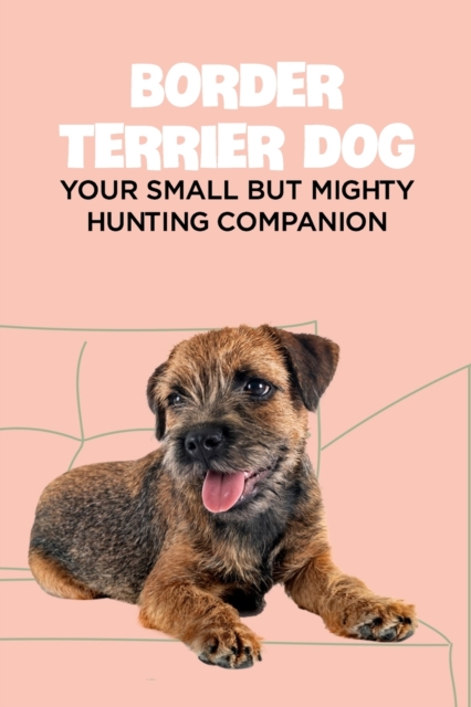 Border Terrier Dog