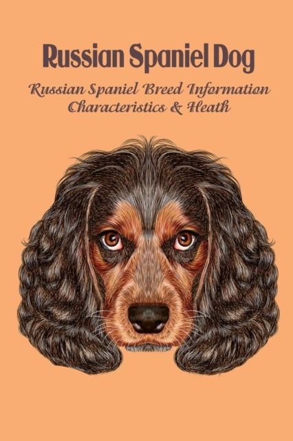 Russian Spaniel Dog