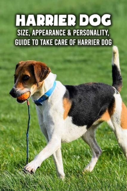 Harrier Dog