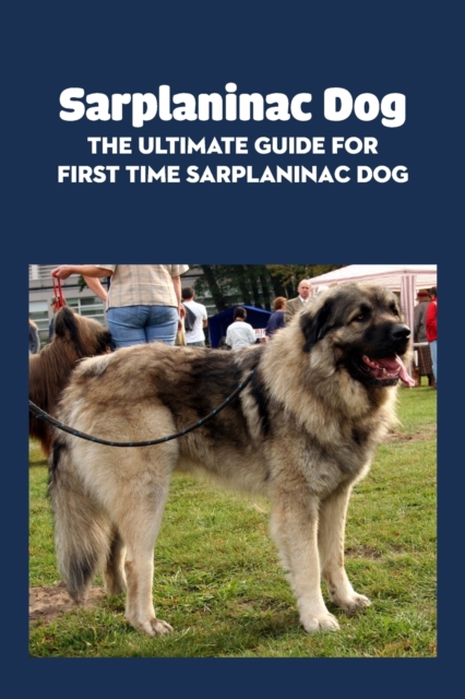 Sarplaninac Dog