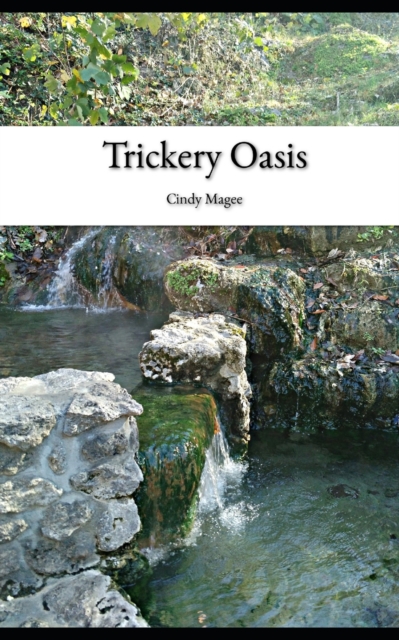 Trickery Oasis