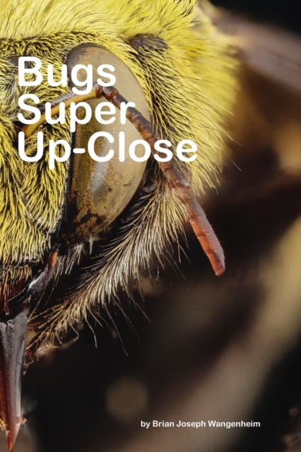 Bugs Super Up-Close