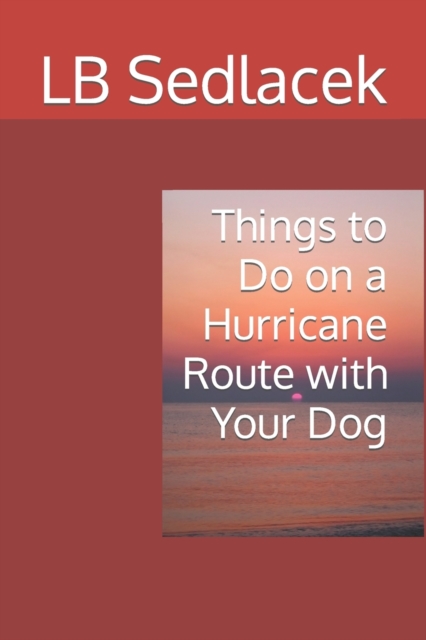 Things to Do on a Hurricane Watch with Your Dog