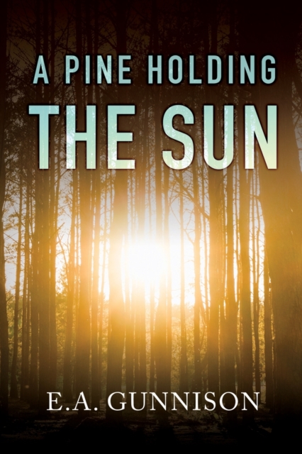 A Pine Holding the Sun