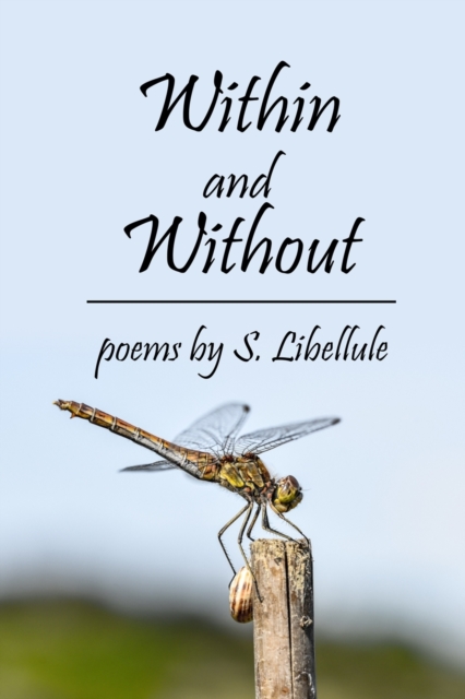 Within and Without