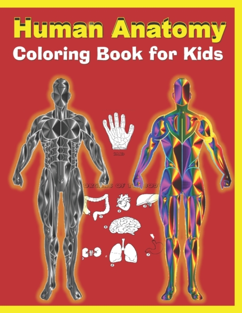 Human Anatomy Coloring Book for Kids