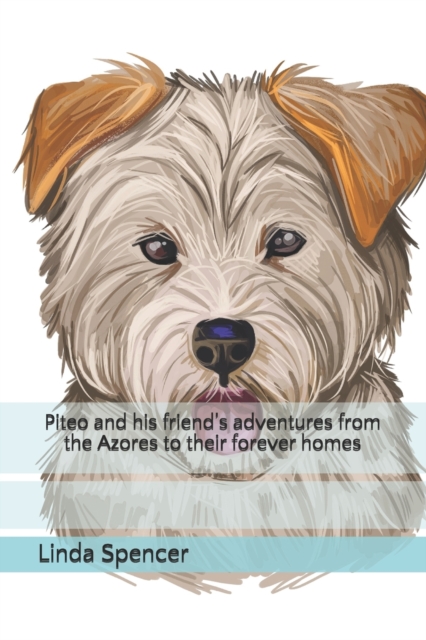 Piteo and his friend's adventures from the Azores to their forever homes