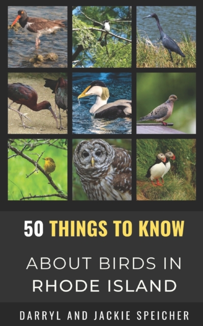 50 Things to Know About Birds in the Rhode Island