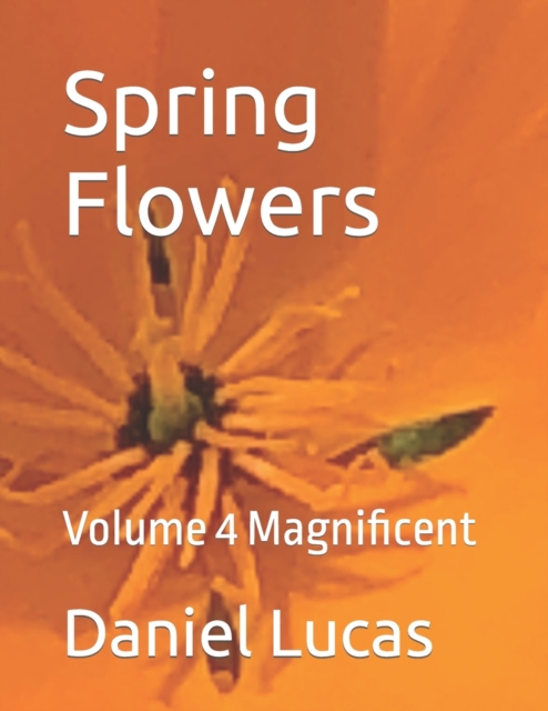 Spring Flowers