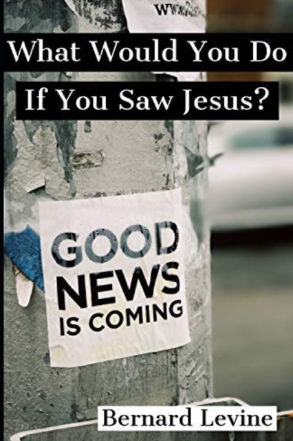 What Would You Do If You Saw Jesus?