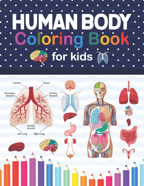 Human Body Coloring Book For Kids