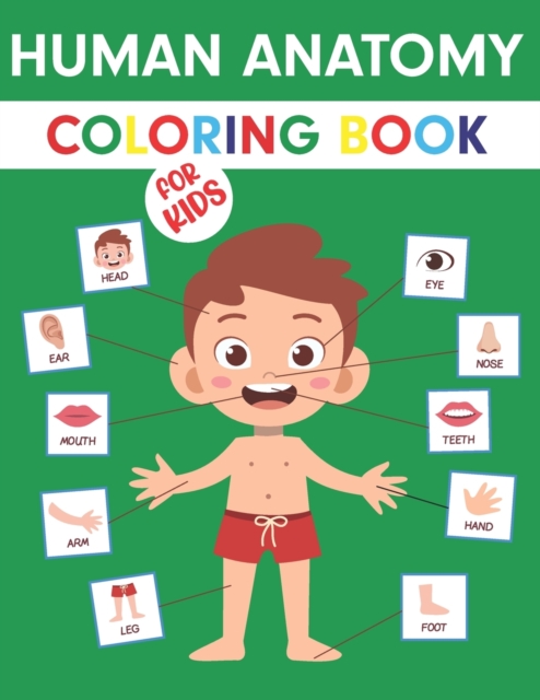 Human Anatomy Coloring Book For Kids
