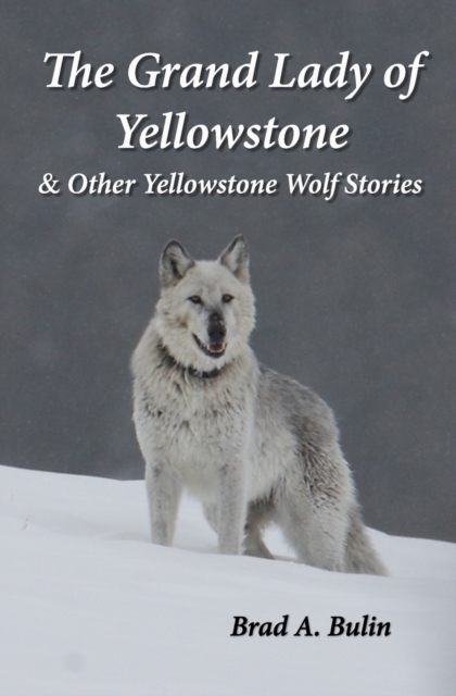 The Grand Lady of Yellowstone