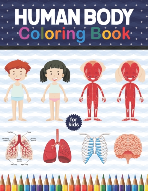 Human Body Coloring Book For Kids