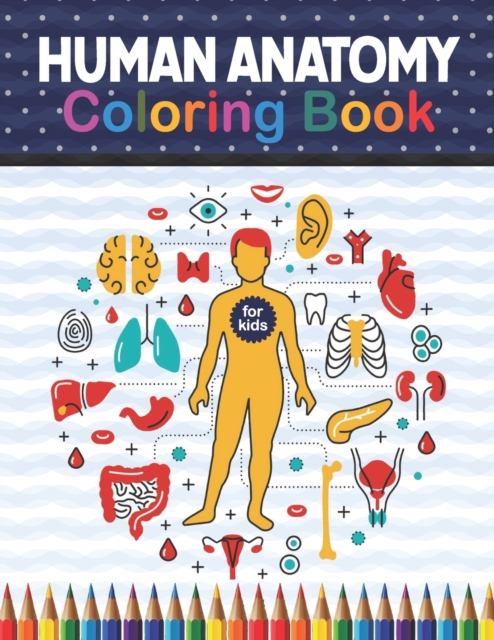 Human Anatomy Coloring Book For Kids