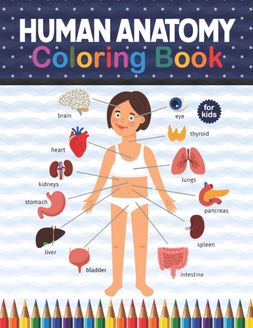 Human Anatomy Coloring Book For Kids