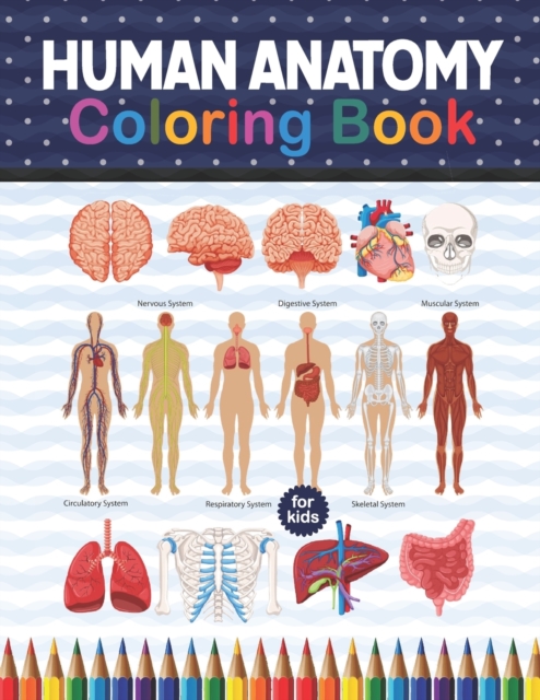 Human Anatomy Coloring Book For Kids