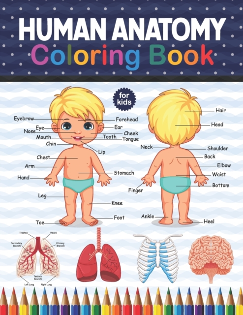 Human Anatomy Coloring Book For Kids