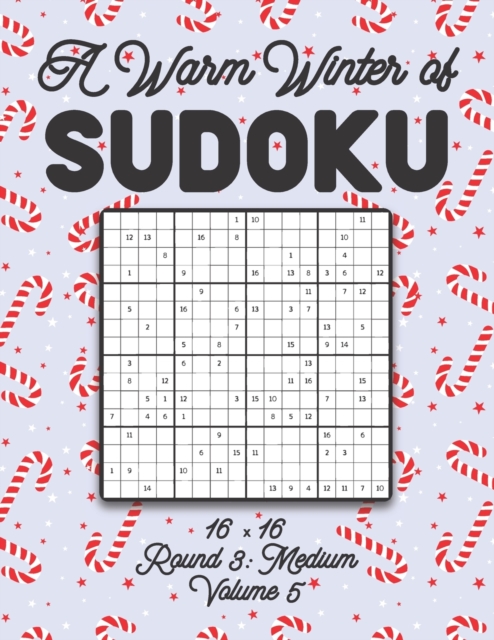 A Warm Winter of Sudoku 16 x 16 Round 3