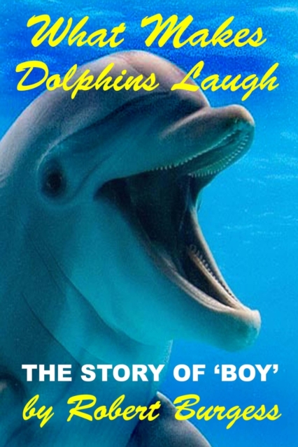What Makes Dolphins Laugh