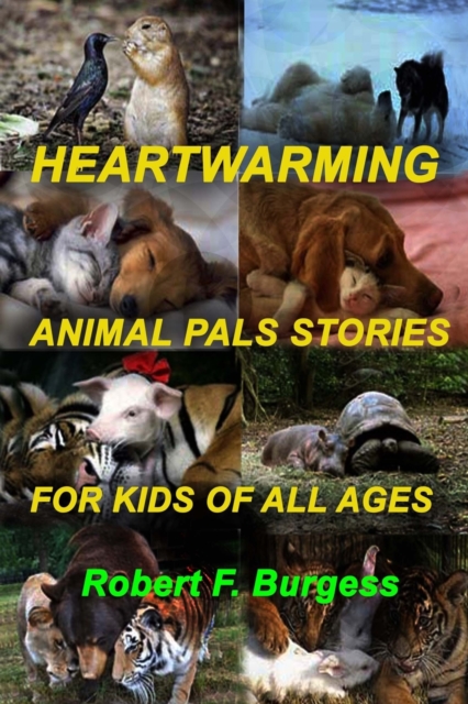 Heartwarming Animal Pals Stories for Kids of All Ages