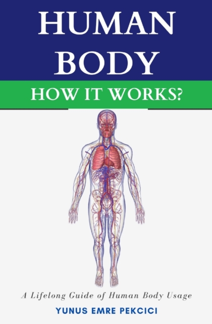 Human Body How It Works?