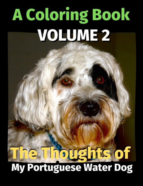 The Thoughts of My Portuguese Water Dog