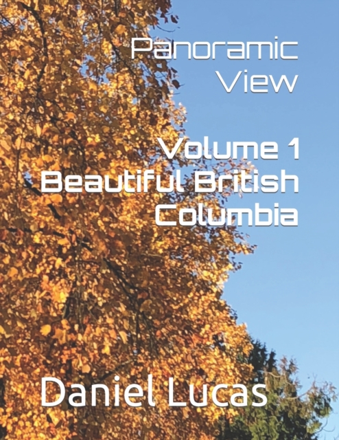 Panoramic View