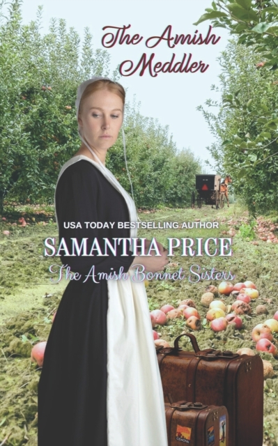 The Amish Meddler