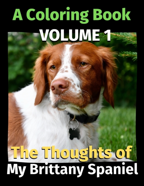 The Thoughts of My Brittany Spaniel